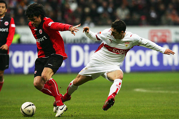 倒向鹈鹕一 倒向鹈鹕一